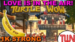 Turtle WoW News - LIVE - Feb 18th 2025