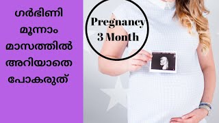 Third Month Pregnancy Malayalam | | ഗർഭകാലം മൂന്നാം മാസം | Par# 06