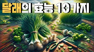 봄나물 '달래'의 놀라운 10가지 효능