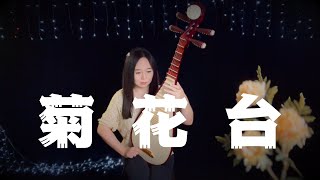 【琵琶】周杰伦 - 菊花台 (Pipa Cover by Carolyn Wang 梦游天下)