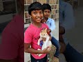 மழைக்குப் பின் காயல்பட்டினம் mini vlog