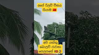 අපේ රිලව් චීනය ගියාම...🤣 #deweni #hiru #srilanka #sinhala #new #tv #derana #rajini #sri #para dige