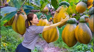 Survival Challenge | Woman Harvesting Giant Elephant Ear Fruits to Sell | Harvesting and Cooking