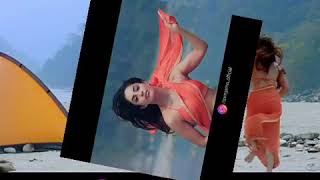 Hume tumse pyar Kitna lyrical song || Shreya Ghosal new love song