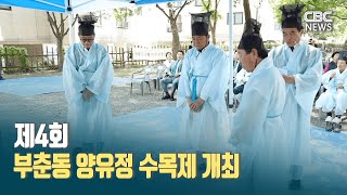 [CBC뉴스] 제4회 부춘동 양유정 수목제 개최ㅣ230512