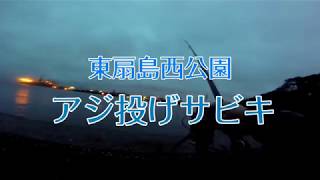 東扇島西公園　アジ投げサビキ
