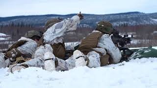 Marines Conduct Wintry Live-Fire - Arctic Edge 18