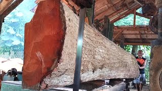 Treasure behind the walnut wood while sawing at the lumber mill