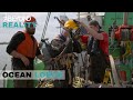 Diving With The Risk Of A Shark Attack | Lords of the Ocean | S1E03 | Beyond Reality