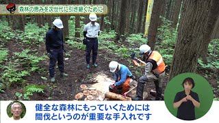 【いわて！わんこ広報室】 第13回「森林の恵みを次世代へ引き継ぐために ～いわての森林づくり県民税～」