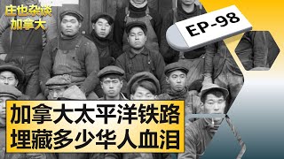 BC省华人的血泪史，了解一下温哥华为什么有那么多的华人？【庄也杂谈加拿大98】