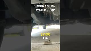 Dreaded Ford 3.5L V6 WATER PUMP LEAK - $2100 Minimum! 💧 #ford #3.5L #waterpump #leaks #outdoors