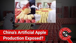 FACT CHECK: Artificial Apples Produced in China Sold as Real Fruit?