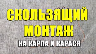 Скользящий монтаж на карпа и карася. Простая донная снасть своими руками