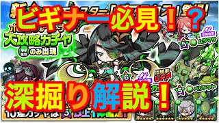 【ポコダン】ジャンヌダルク杯ポコロンアリーナ大攻略ガチャ！深掘り解説！ビギナーポコラーさんにオススメです！【ポコロンダンジョンズ】