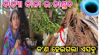 ବାତ୍ୟା ଦାନା ରେ କ‘ଣ ସବୁ ହେଇଗଲା ଏସବୁ / PAMI PRITAM LIFE