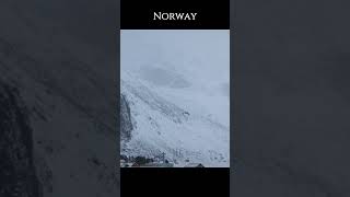 North Norway Part.3 #travel #nature #cinematic #shorts #wildlife #winter