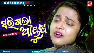 Sarigala Aayusha Ama Premara | Official Studio Version | Odia Sad Song | Aseema panda | OdiaNews24