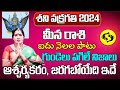 శని వక్రగతి 2024 | Meena Rasi Phalalu 2024 Telugu | Meena Rasi Phalalu June 2024 | PiscesHoroscope