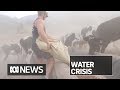 The once green NSW town of Gloucester is praying for rain | ABC News