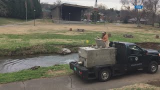 TWRA officials restocking trout in Mossy Creek