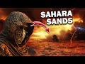 Ancient Civilizations Found Under The Sahara Sand