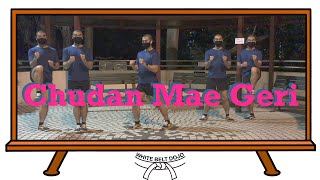 白帶道場 White Belt Dojo  Training003 - 5分鐘中段前蹴練習 5 Minutes Chudan Mae Geri Training