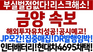 [금양 주가 전망]긴급속보,부실벌점없다!해외투자유치!공시예고!인터배터리!현대차4695공급가시화!급반등지속된다!매수대응!