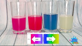 تجربة كاشف الملفوف الاحمر - Red cabbage ph indicator