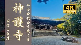 【京都 観光】厄は投げて除けるもの！？ 平安時代から続く神護寺の美【国宝の宝庫】 Kyoto ukyo Jingo ji Temple