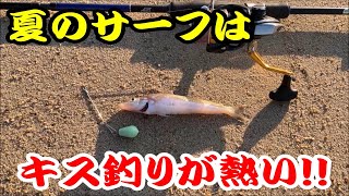 【ちょい投げ】良型キス連発！！　暑い夏はサーフのキス釣りが熱い！！【ルアーロッド】【パワーイソメ】