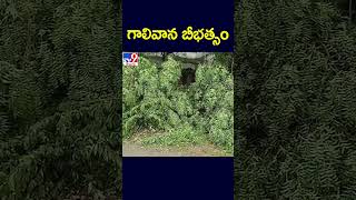 గాలివాన బీభత్సo -TV9