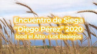 SIEGA TRADICIONAL 'DIEGO PÉREZ' 2020 - Icod el Alto - Los Realejos