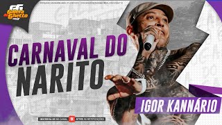 IGOR KANNARIO - CARNAVAL DO NARITO - 2025