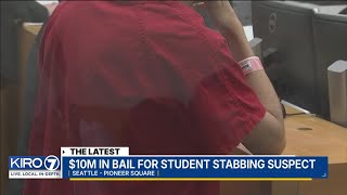 UW stabbing suspect appears in court, bail set at $10 million