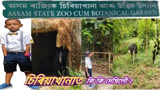 গুৱাহাটী গলো চিৰিয়াখানা চালোঁ | It's great to see the zoo ||