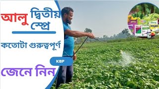 আলু জমিতে দ্বিতীয় স্প্রে || ফলন বৃদ্ধির গোপন পরিচর্যা || Second spray on potato fields ||