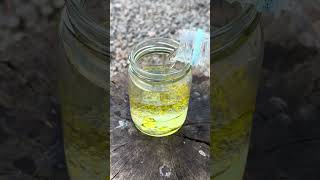 Survival Skills: Make a Water \u0026 Oil lamp #survival #bushcraft #camping #outdoors #lifehacks