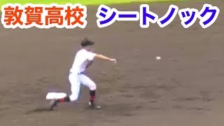 敦賀高校 シートノック 北信越地区高等学校野球大会 準々決勝 星稜高校戦 2019.10.14