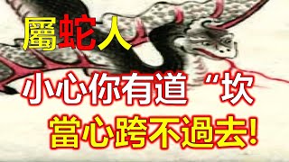 屬蛇人運勢運程，關於屬蛇人的生肖運程，在今年2023年來說，上半年要比下半年辛苦不少，肖蛇的人在兔年的運程，屬蛇人本命流年帶有吉星也帶有兇星的緣故，十二生肖，2023年12生肖运势，生肖運勢（生肖蛇）