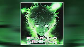 DJ ESXF - RISADA DO SENHOR (Slow Version)