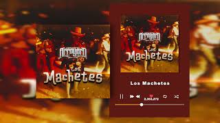 Conjunto Arroyero - Los Machetes  (Audio)