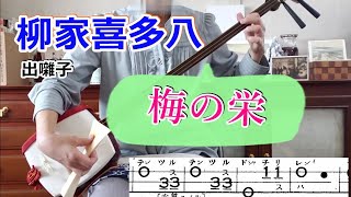 長唄の出囃子：柳家喜多八喜「梅の栄」手毬の合方を三味線で弾く。文化譜付き。脱力系キャラで美声、さらに二枚目。喬太郎、歌武蔵との平成教育委員会見たかった。＃出囃子＃落語＃長唄#Shamisen＃手毬