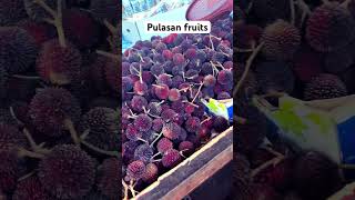 Pulasan fruits which are similar to Lychee#food#trendingshorts#youtube#trending #shorts#short#india