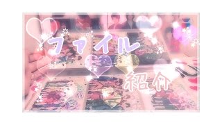 ＼♡／ファイル紹介(リク)