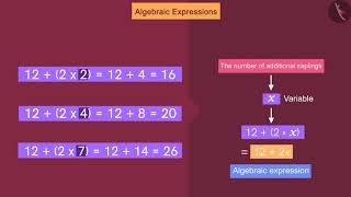 Algebraic expressions | Part 1/3 | English | Class 8