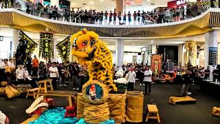 #美国玄龍體育會 Lion Dance Competition | 師承杯 國際獅王爭霸賽 2024 Lion Dance Championship - USA Xuan Long