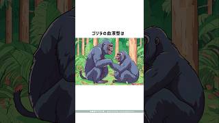 ゴリラの血液型は··· #雑学 #動物好き#おもしろ動画 #アニメ#漫画動画