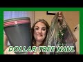 Dollar Tree Haul #dollartree #dollarstorefinds #dollartreehaul #dollartreeshopping