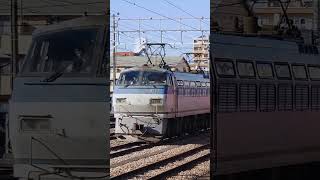 EF66-110 鳴り響く警笛音♪ステキな音色🎶　今日は力強いです🤗 2023/01/17　東福山駅　今日のサメさん